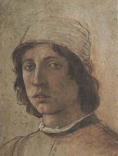 Filippino Lippi Self-Portrait oil painting picture